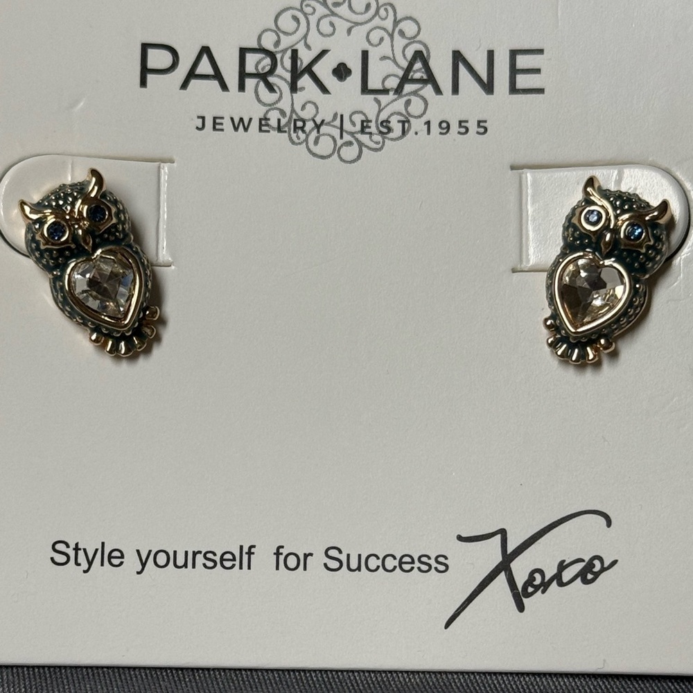 Park Lane Jewelry - Hootie Earrings